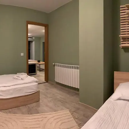 Olive Grand 8 To 10 Guests Balcony Parking *