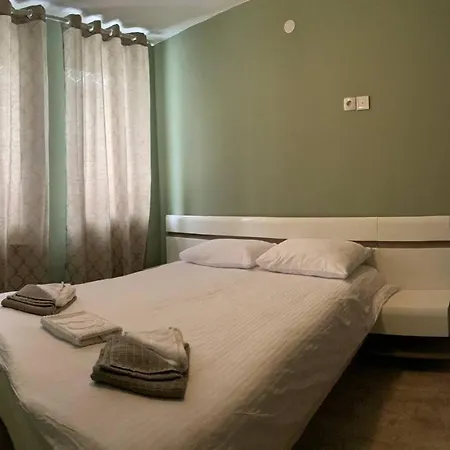Olive Grand 8 To 10 Guests Balcony Parking
