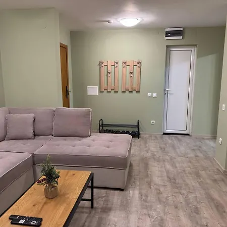 Olive Grand 8 To 10 Guests Balcony Parking